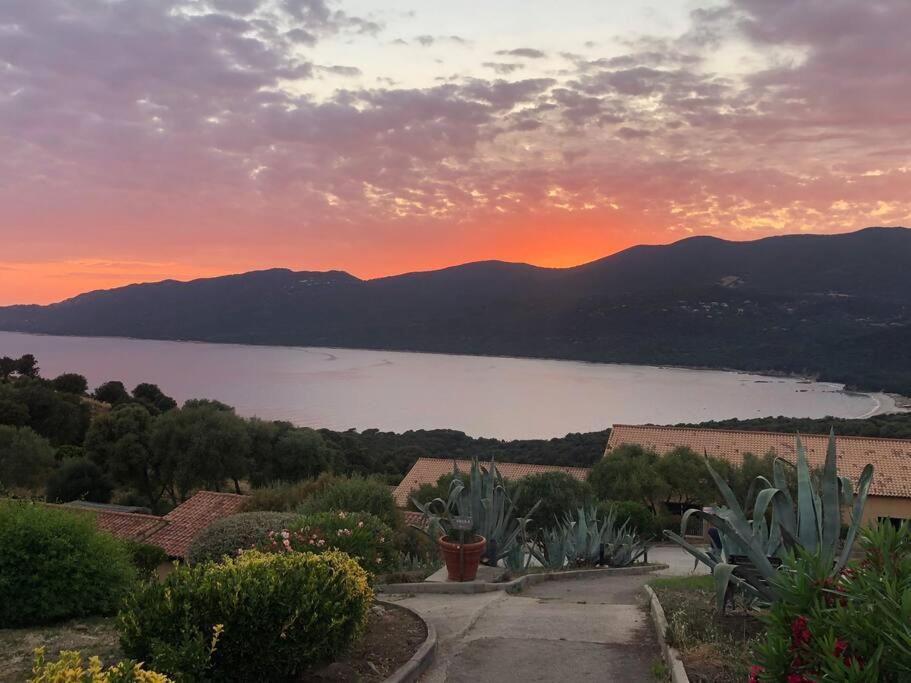 Appartement T2 Avec Piscine Aux Portes De La Plage De Cupabia Serra-di-Ferro  Exterior foto