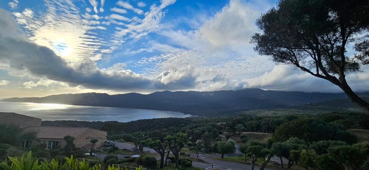 Appartement T2 Avec Piscine Aux Portes De La Plage De Cupabia Serra-di-Ferro  Exterior foto